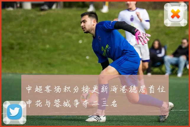 中超客场积分榜更新海港稳居首位申花与蓉城争夺二三名
