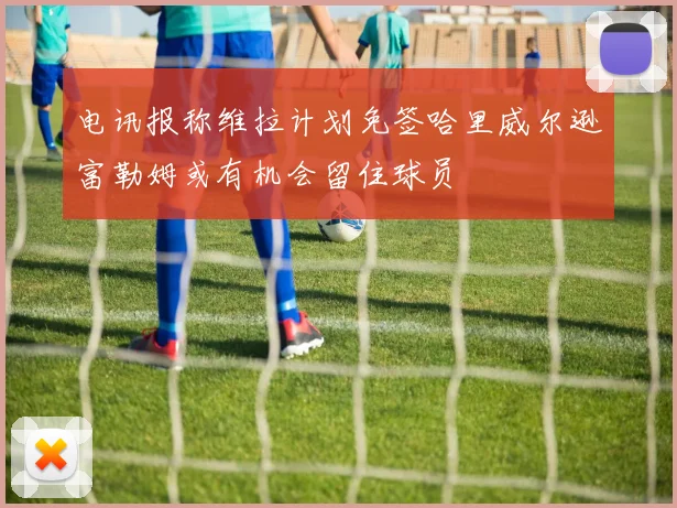 电讯报称维拉计划免签哈里威尔逊富勒姆或有机会留住球员