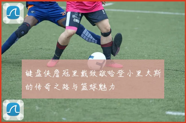 键盘侠詹冠里戴致敬哈登小里夫斯的传奇之路与篮球魅力