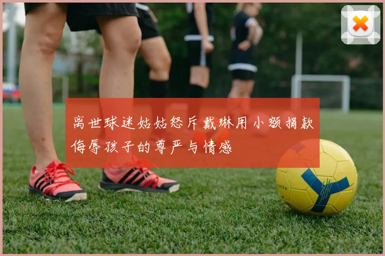 离世球迷姑姑怒斥戴琳用小额捐款侮辱孩子的尊严与情感